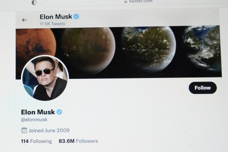 Elon Musk seeks details of Twitter spam bots before closing deal