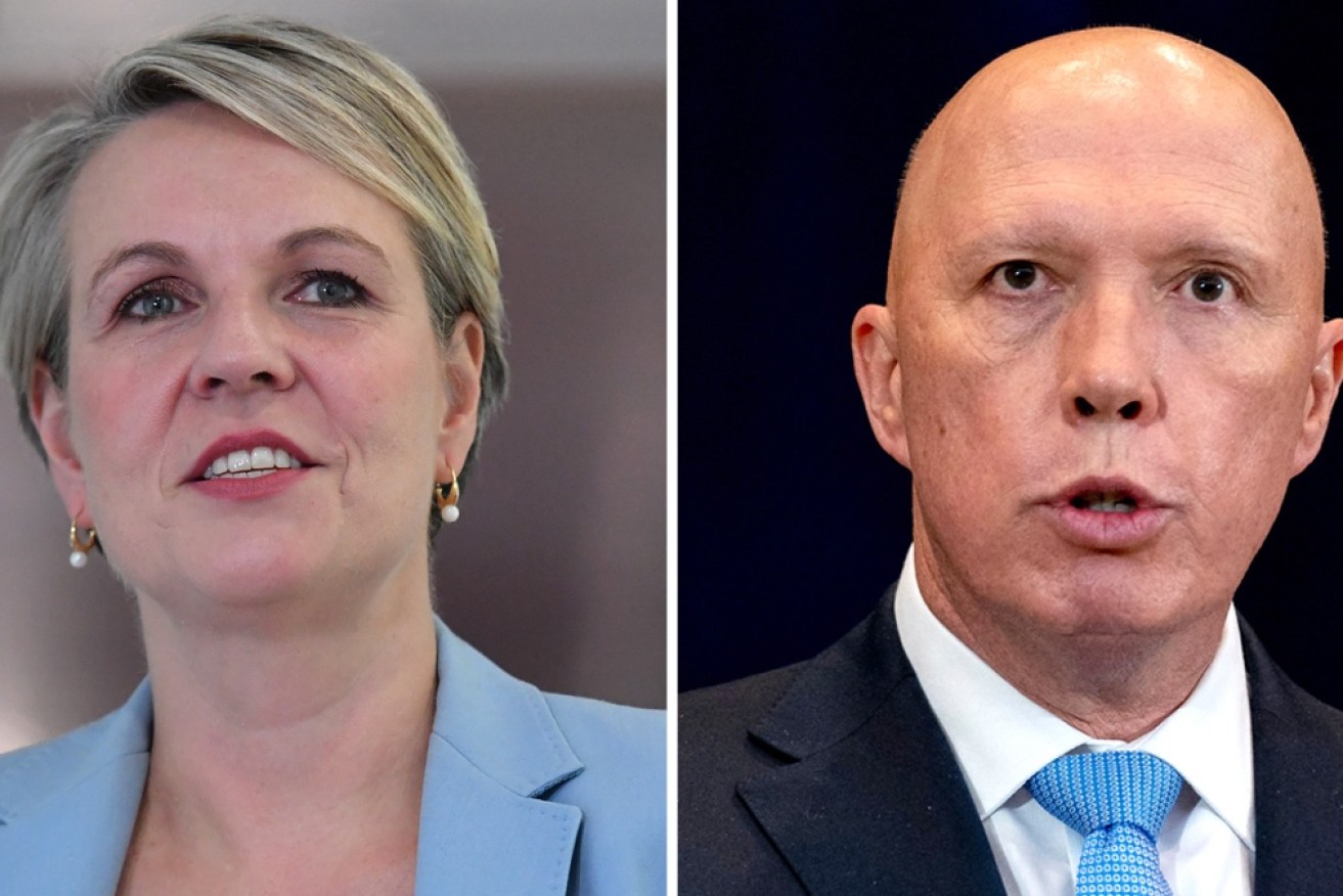 Senior Labor frontbencher Tanya Plibersek has apologised for the comparison of Peter Dutton with Voldemort.