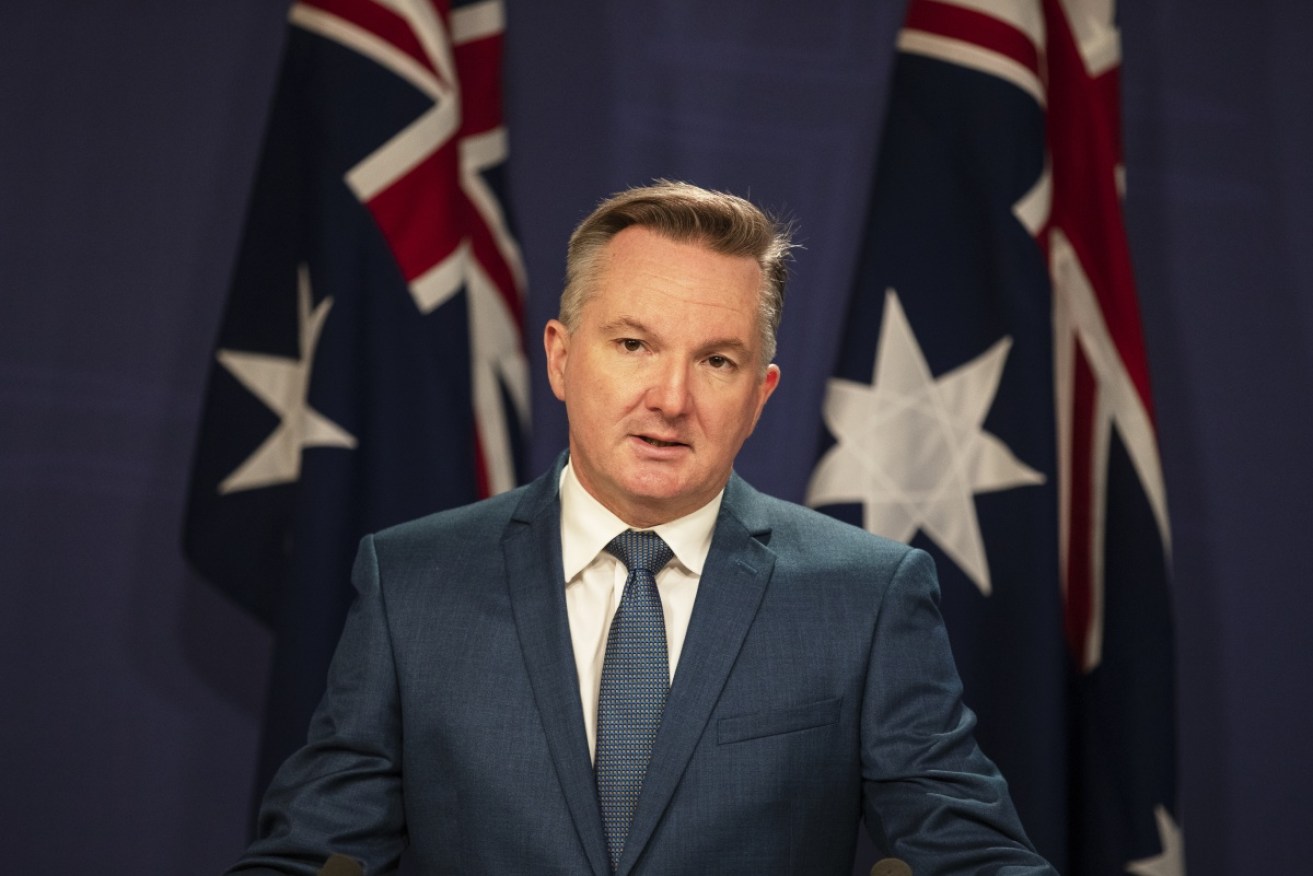 Chris Bowen says the government won't allow industries to fold due to skyrocketing energy costs.