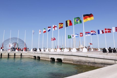 Gulf Arab airlines to run World Cup shuttle flights to Qatar