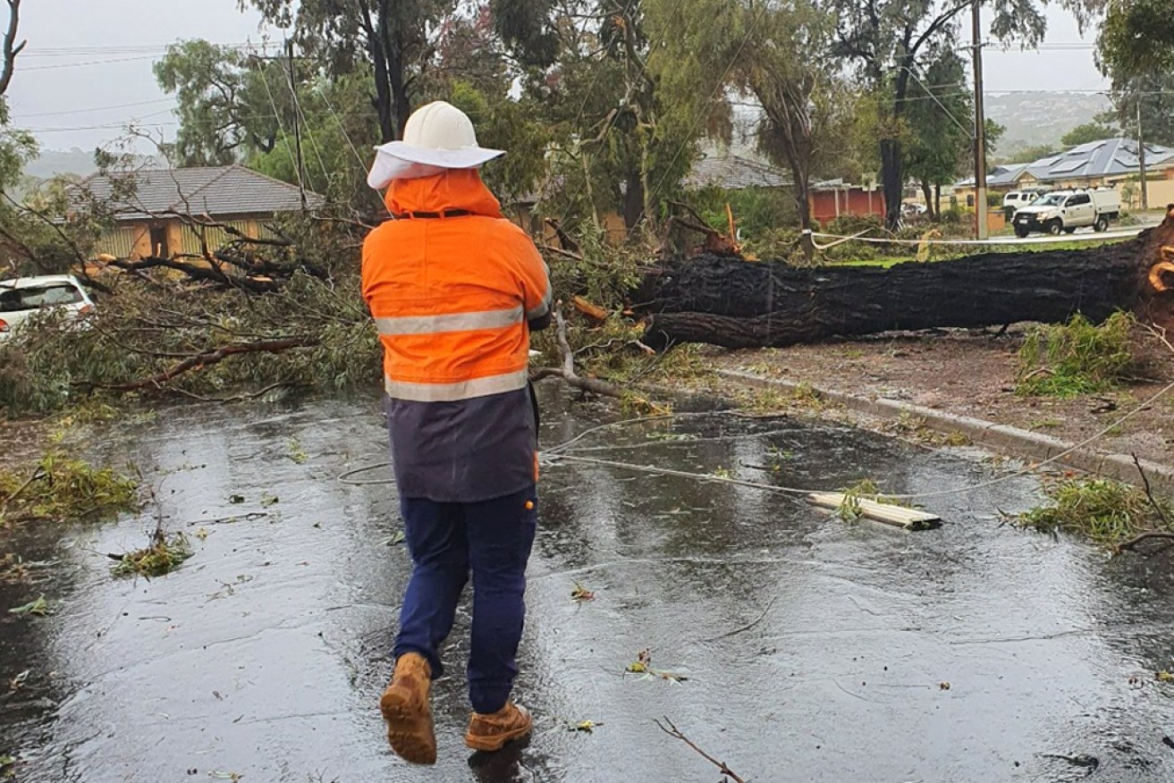 South Australian authorities are cleaning up after Monday's mini tornado in Adelaide's north.
