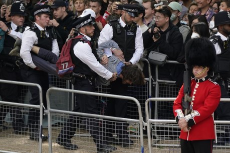 Two men arrested after breaking through barrier at Queen’s jubilee parade