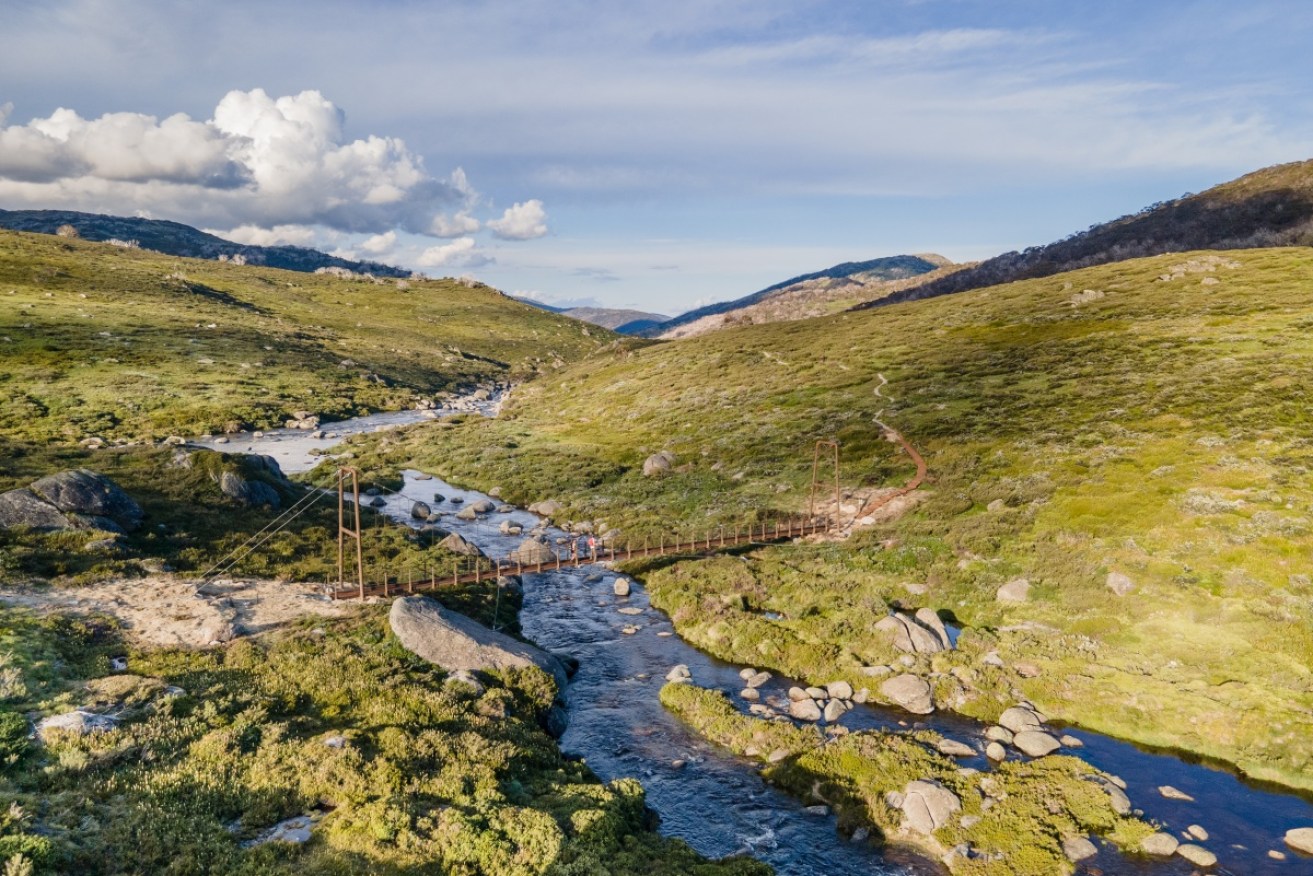 Fully linked, the Snowies Alpine Walk will span 55 kilometres in Kosciuszko National Park.