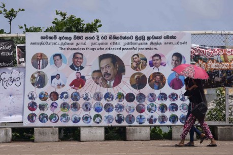 Sri Lanka PM urges unity in crisis