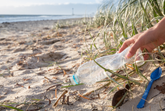 Plastic litter at beaches falls by 29 per cent