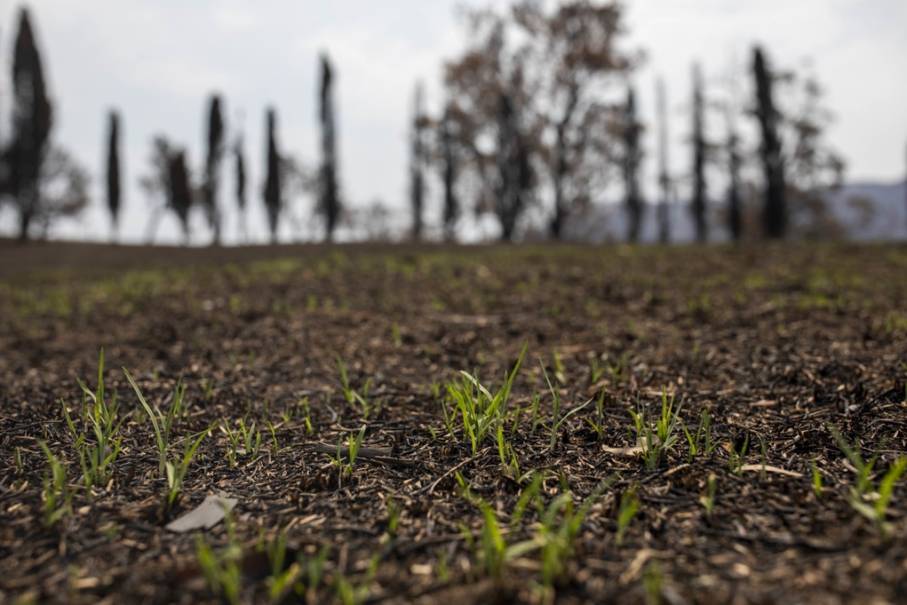The Clean Energy Regulator stands by the way carbon credits are approved and earned.