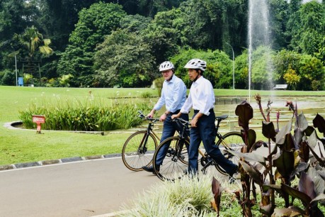 Top videos: Anthony Albanese’s jovial bike ride with Indonesian President