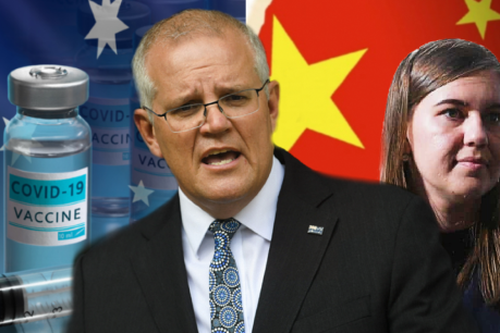 Revealed: Mistakes that cost Morrison the PM-ship