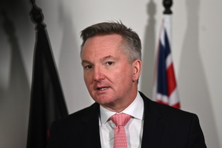 Carbon credit scheme to be reviewed: Bowen