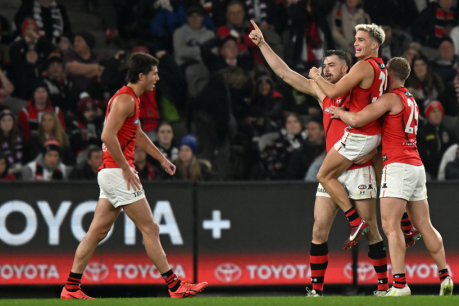 AFL: Underdog Bombers give Saints a lesson in teamwork and determination