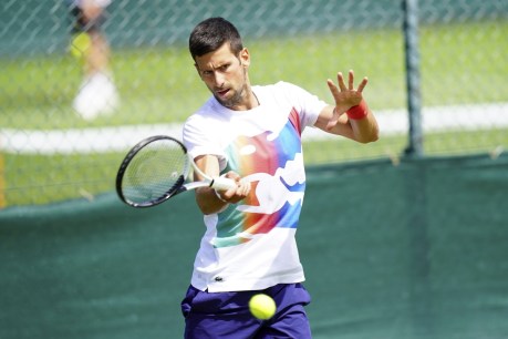 Novak Djokovic to top seedings at Wimbledon with Daniil Medvedev out