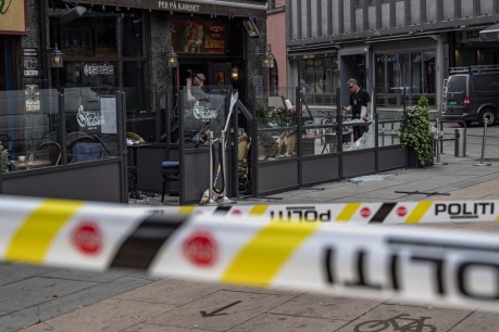 Norway shooting treated as Islamist terrorism: Police