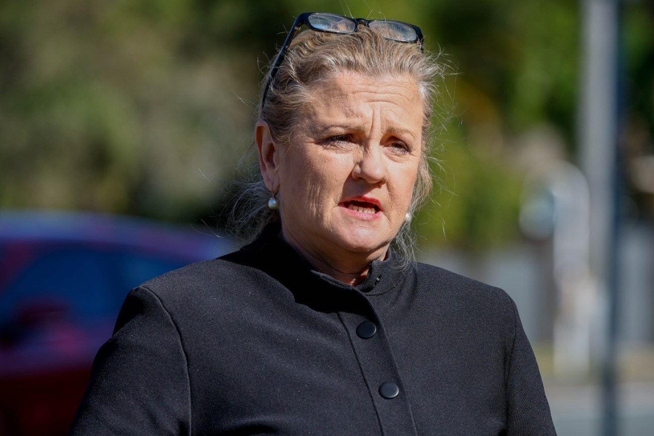 Redland Mayor Karen Williams has pleaded guilty to drink-driving.