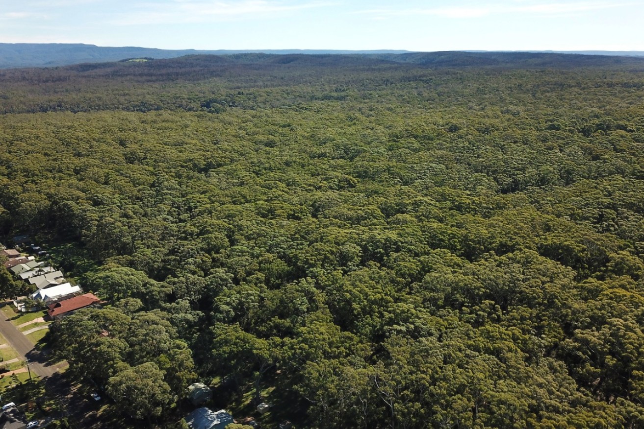 An area more than nine times the size of Sydney Harbour was cleared in NSW in a single year.