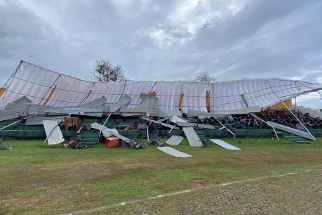 Grandstand collapses during Australia Test