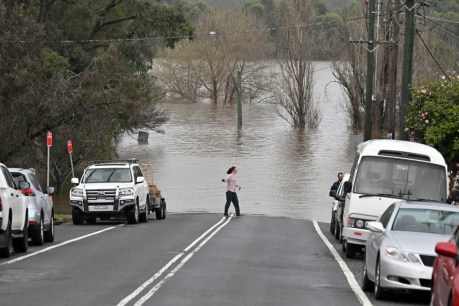 Rain floods NSW again, with thousands of residents told to evacuate