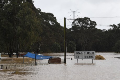 ‘Patently ridiculous’: State government failures have exacerbated Sydney’s flood disaster