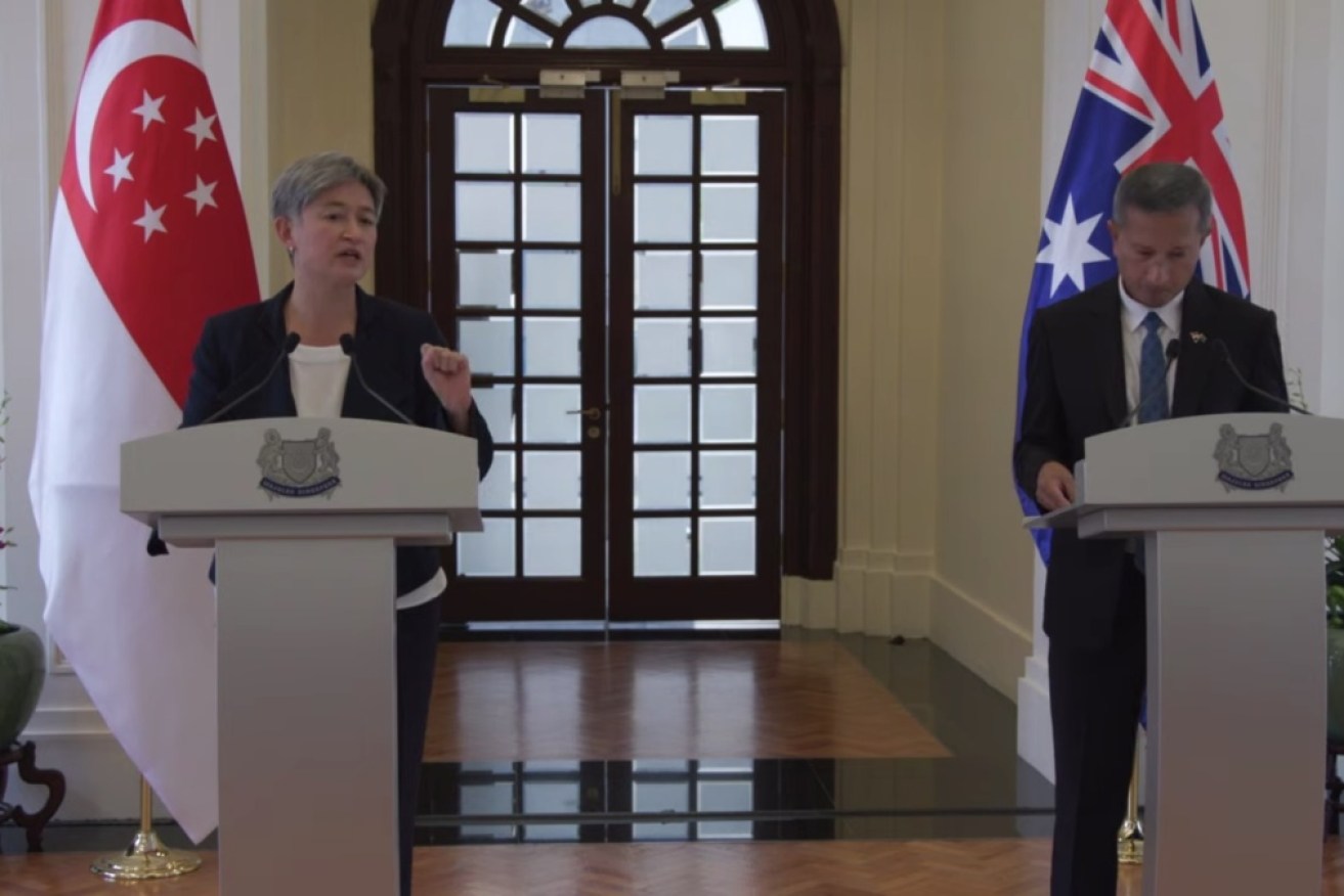 Penny Wong equated South East Asian security as Australian security in an address in Singapore. 