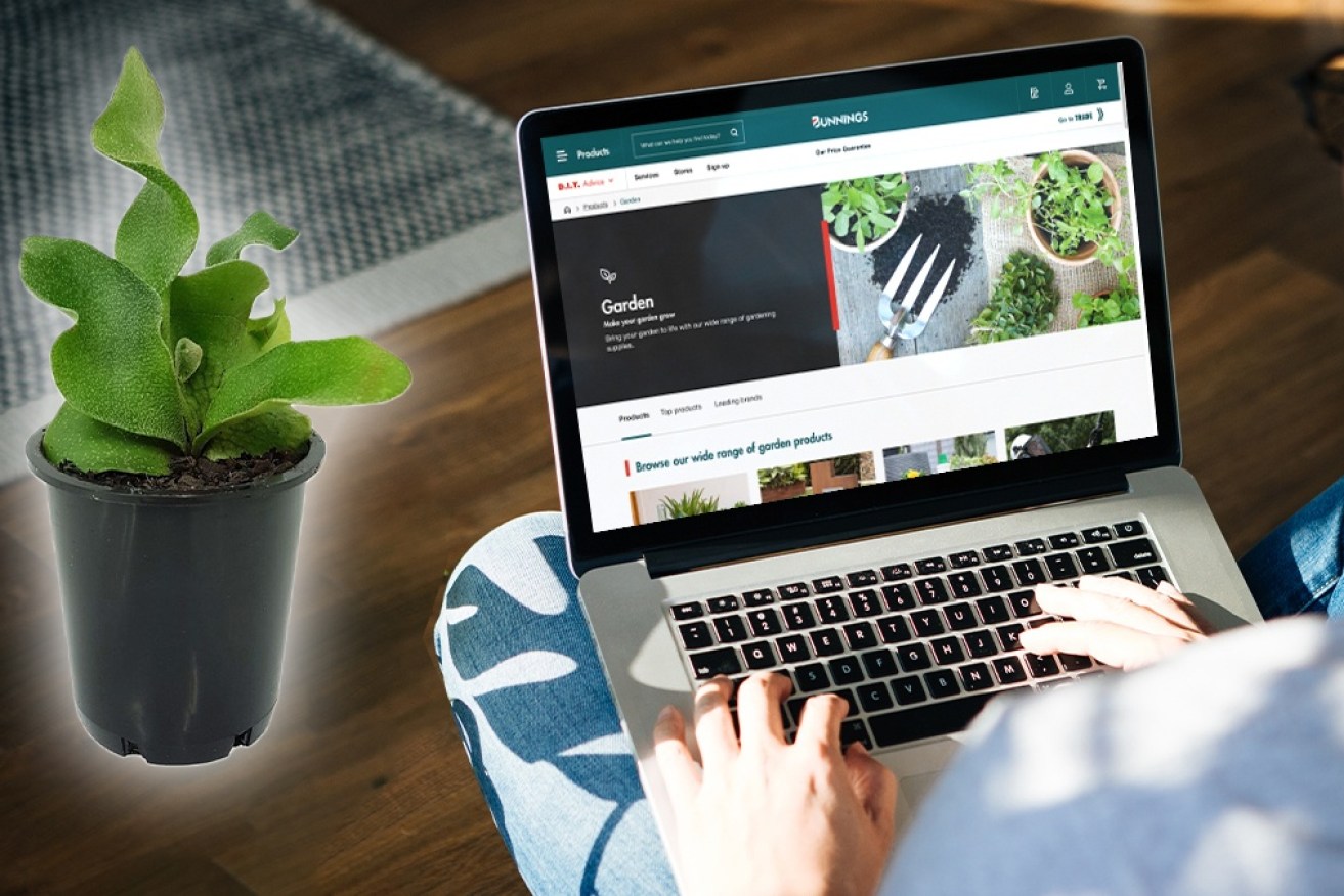 New data shows consumers are flocking to pet goods and gardening tools online.