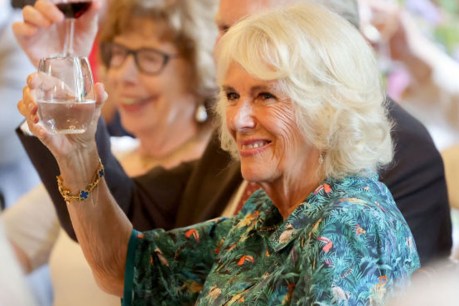Camilla evolves to win the hearts of a nation