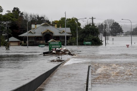 Calls for home buybacks in flood-hit NSW region