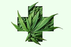 Medicinal cannabis prescriptions top 260,000