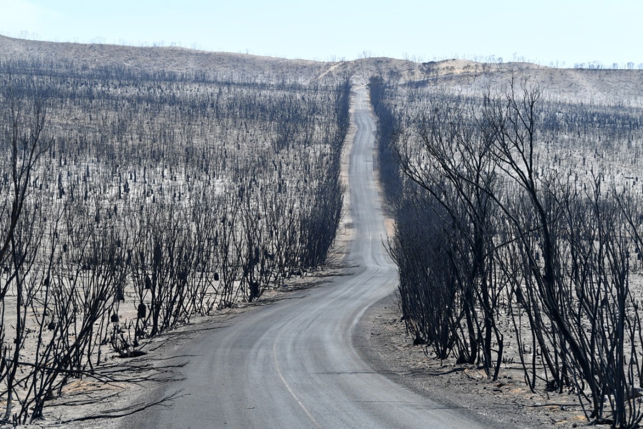 Kangaroo Island was left ravaged by the damage done by bushfires in January 2020. 
