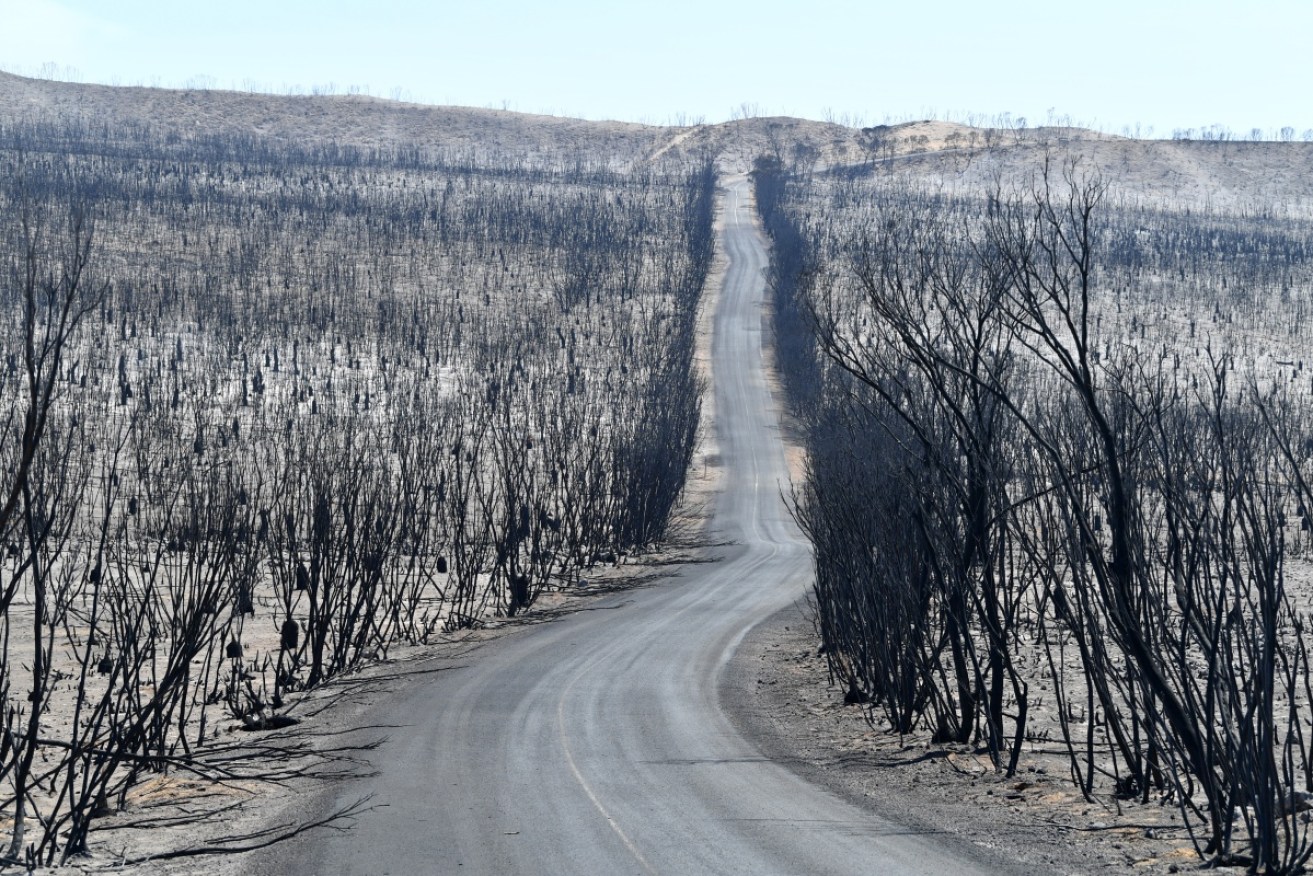 Kangaroo Island was left ravaged by the damage done by bushfires in January 2020.