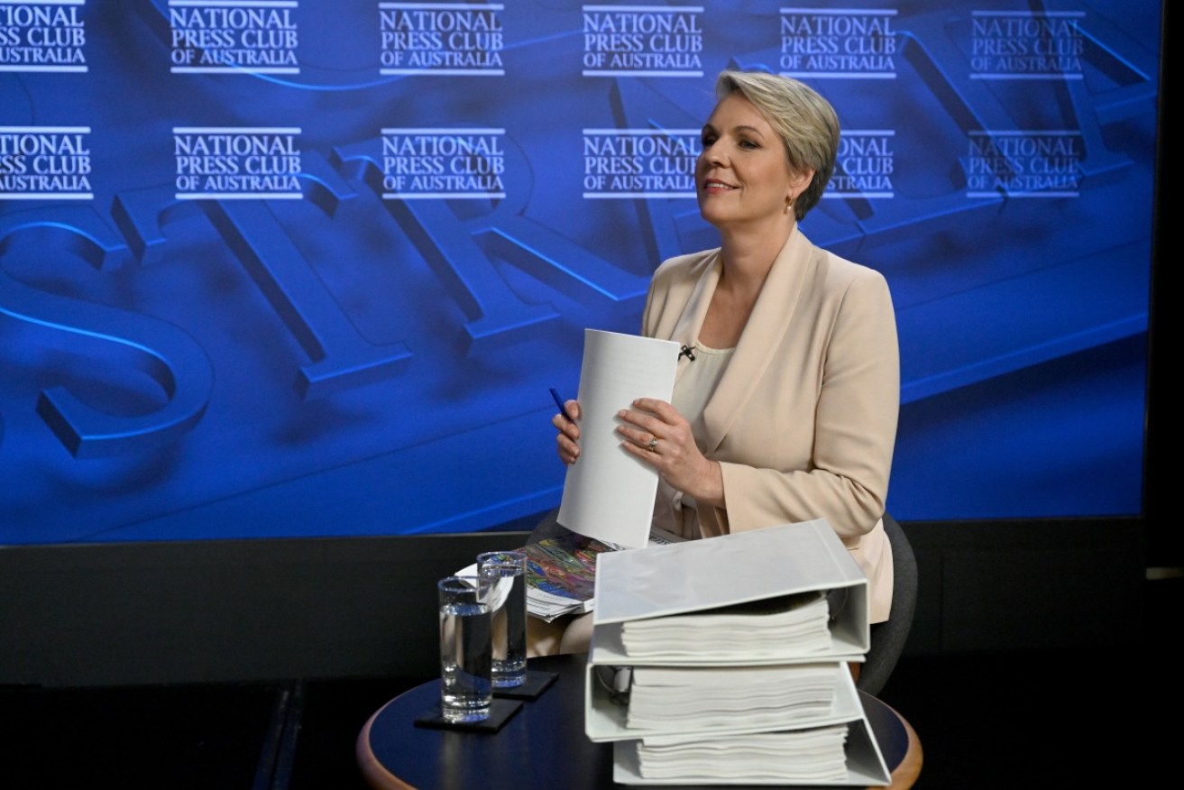 Environment Minister Tanya Plibersek says she is absolutely determined to improve the system.