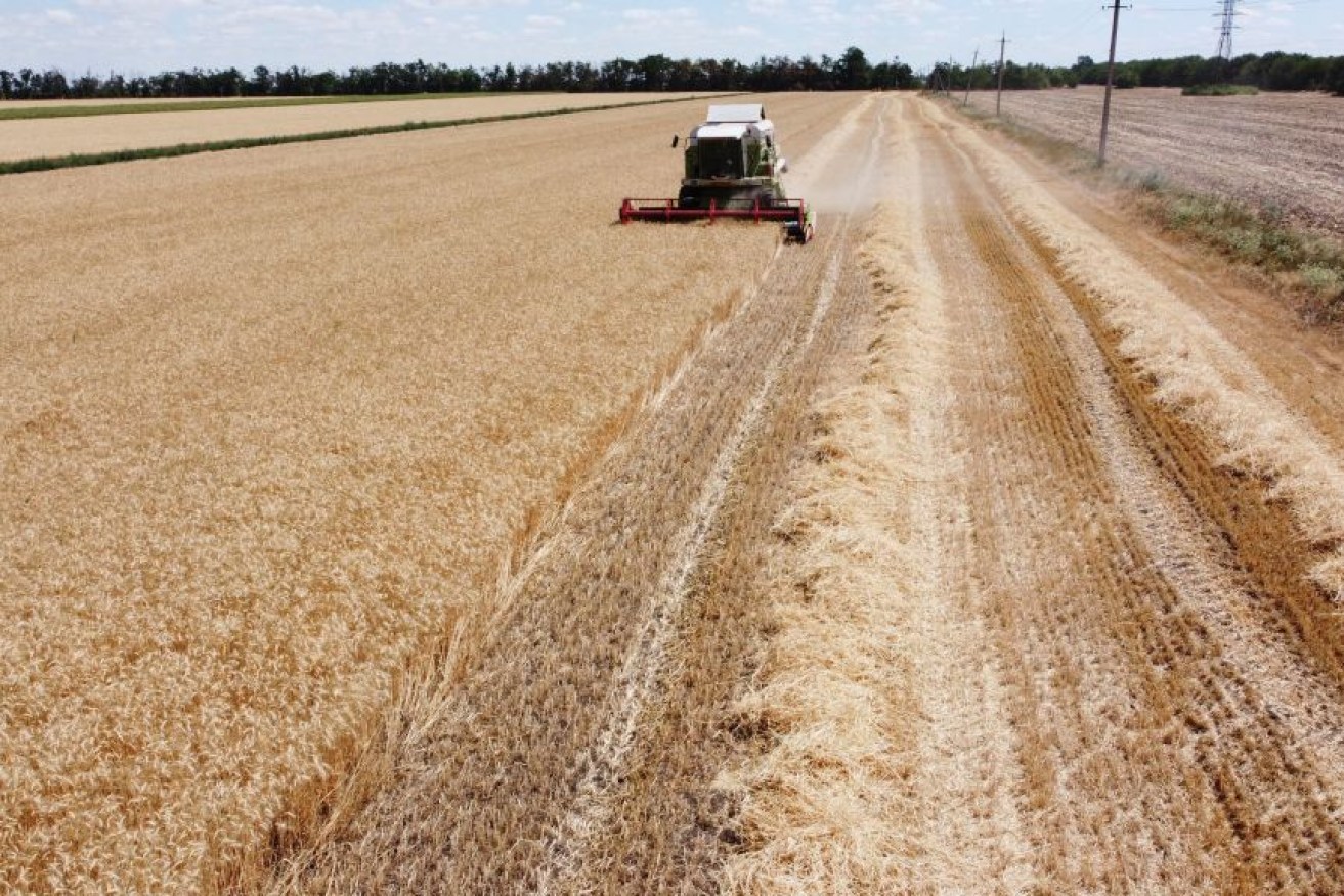 Global food shortages from the Russia Ukraine war can be helped by increasing the international trade of wheat and maize, and a bump in exports from Australia.