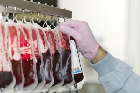 Ban on UK blood donors overturned