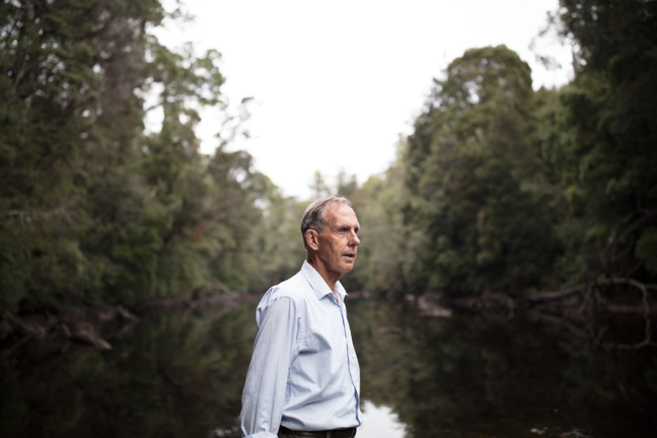 The Bob Brown Foundation took legal action against the expansion in the takayna/Tarkine rainforest.