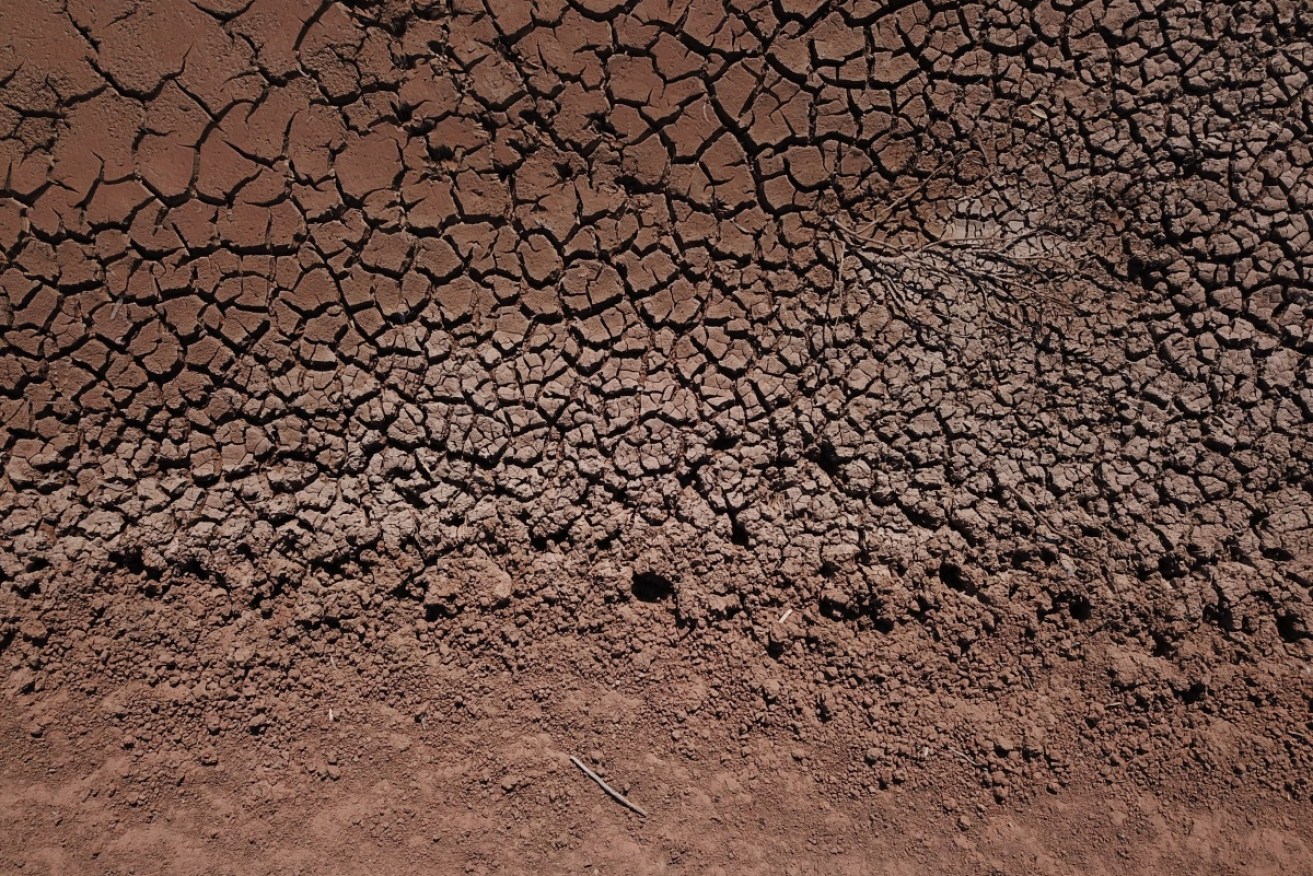Drought will be one of the challenges faced in Australia in the next 20 years, the CSIRO says. 
