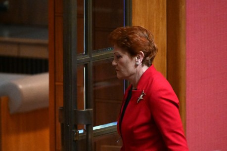 Hanson referred to human rights body for abuse
