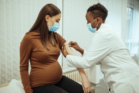 Vaccine timing key for pregnant women