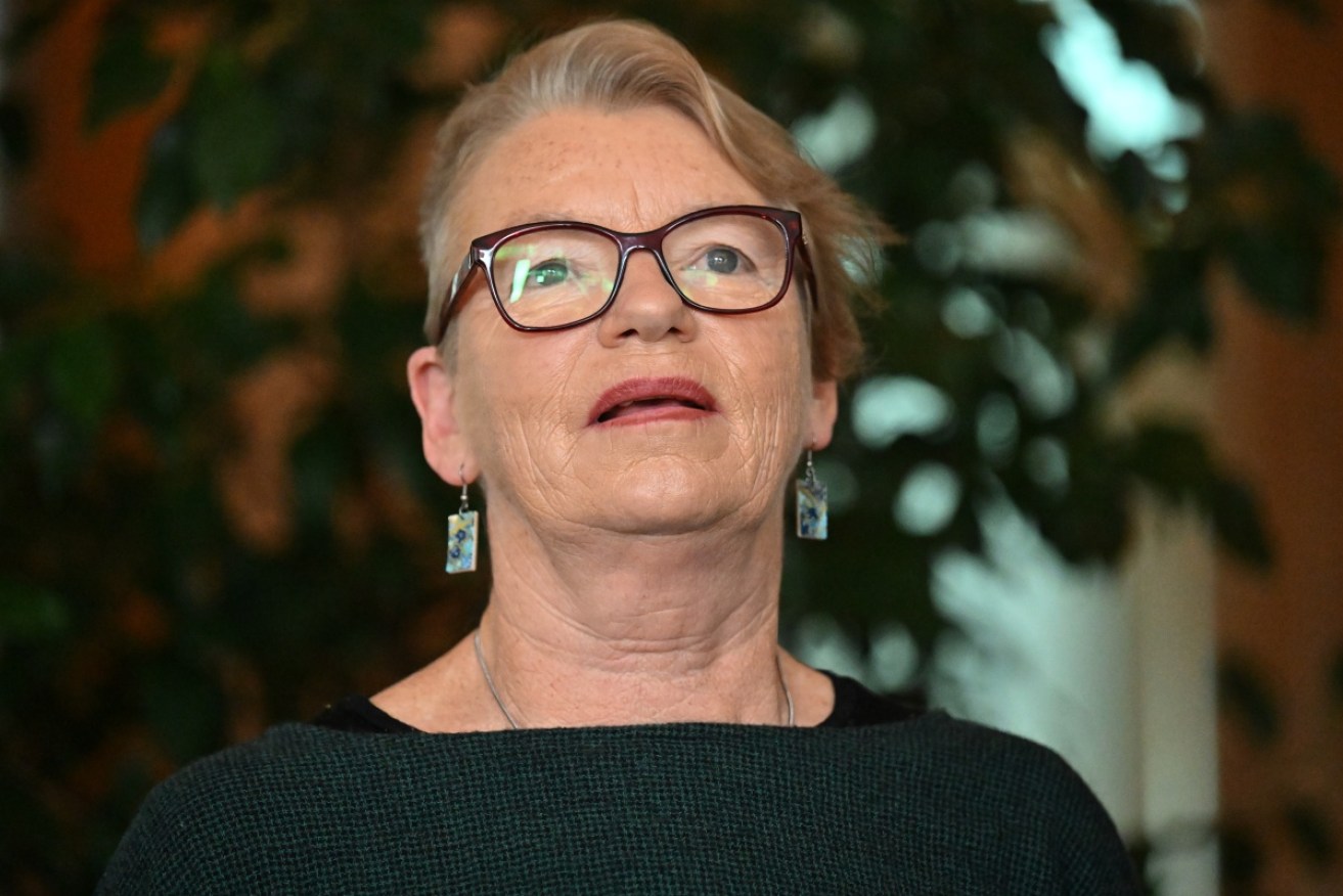 Greens senator Janet Rice has called on the government to extend the suspension to welfare payment penalties. 