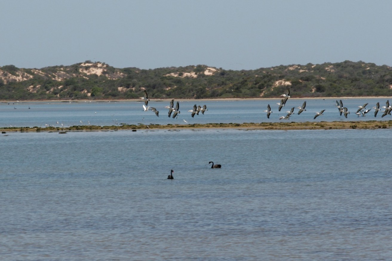 The Murray Darling Basin will not receive 450 GL of water promised for the environment by June 2024.