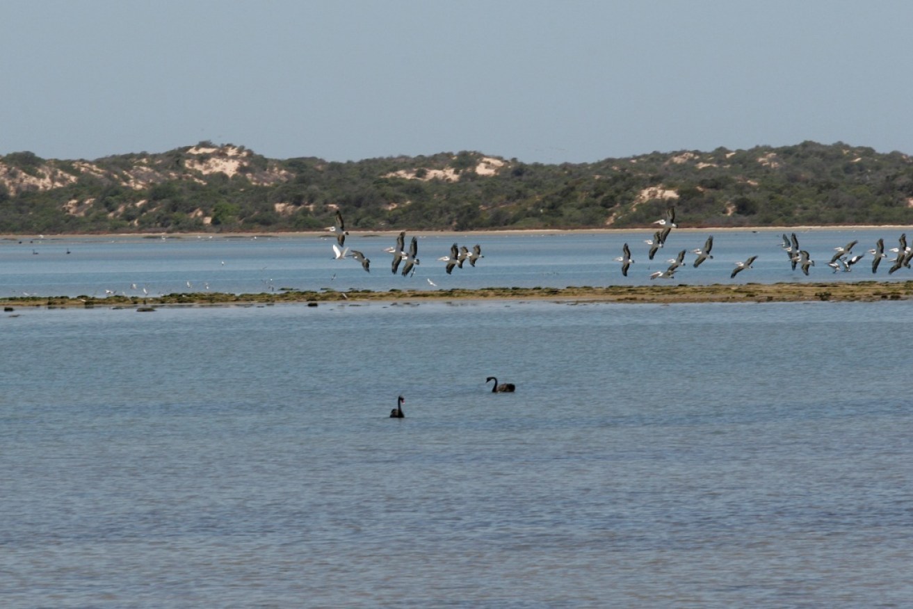 The Murray Darling Basin will not receive 450 GL of water promised for the environment by June 2024. 