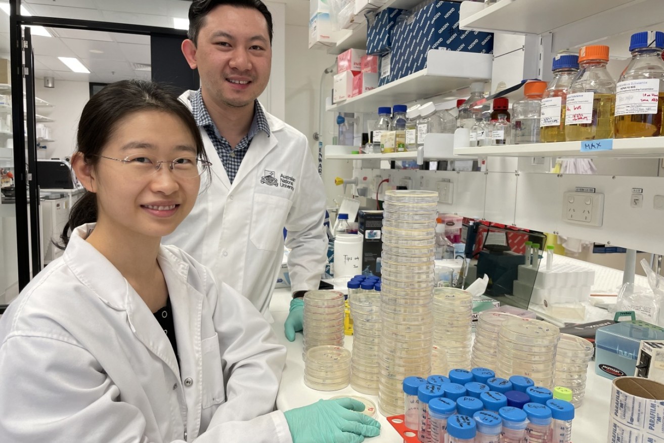 Professors Shouya Feng and Si Ming Man have discovered a group of bacteria-killing proteins.