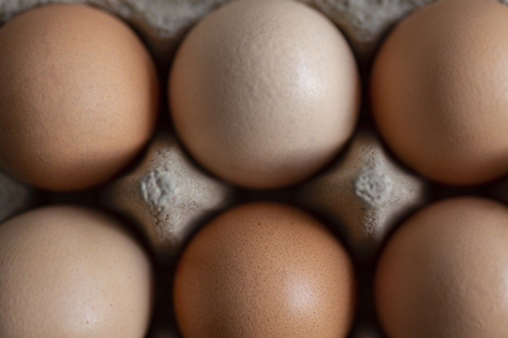 Battery hen rules have Australia's egg industry facing a huge shake-up