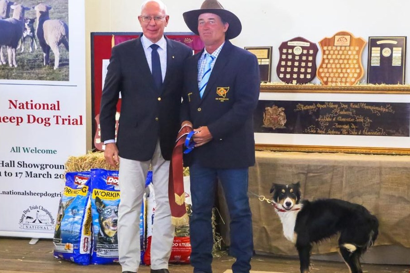 Governor General David Hurley awarded a sash to a sheep dog in 2020, according to his diary.
