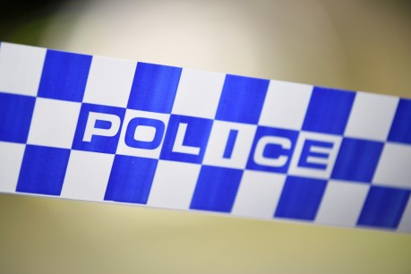 Queensland police shoot armed man &#8216;several times&#8217;