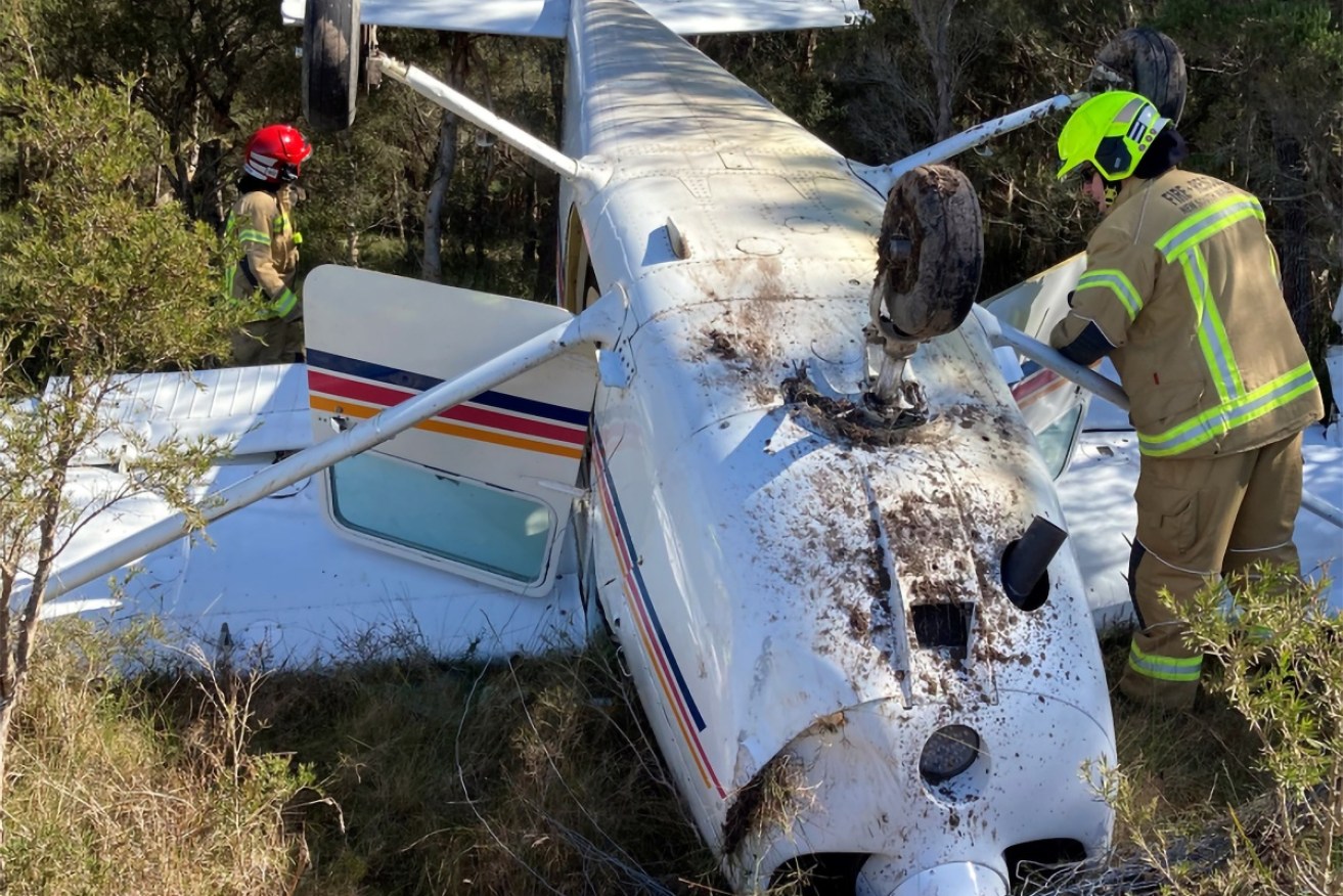 A pilot has survived with minor injuries after his plane crashed on the NSW central coast.
