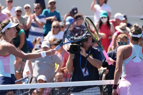 Handshake snub sparks stir at US Open
