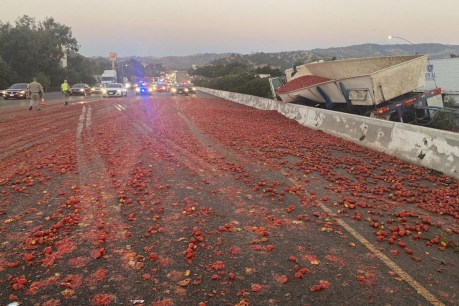 Sauced tomatoes cover Californian highway after bizarre truck crash