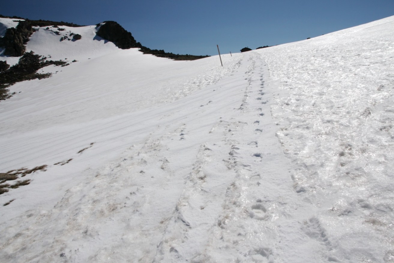 A skier missing in the NSW Snowy Mountains has spent two nights in freezing conditions.