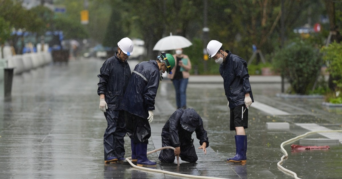 Typhoon Hinnamnor grounds flights in South Korea