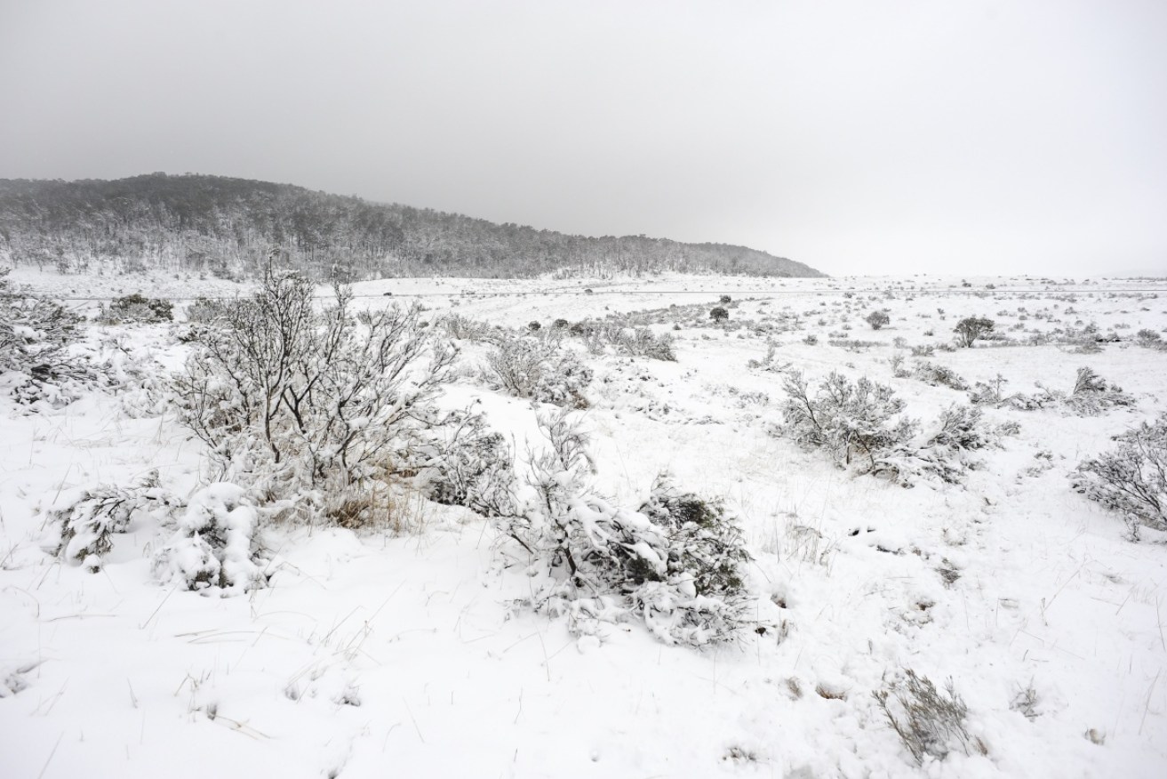 A body has been found three days after the search for a missing NSW cross-country skier began.