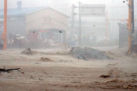 Two dead as Typhoon Hinnamnor lashes South Korea