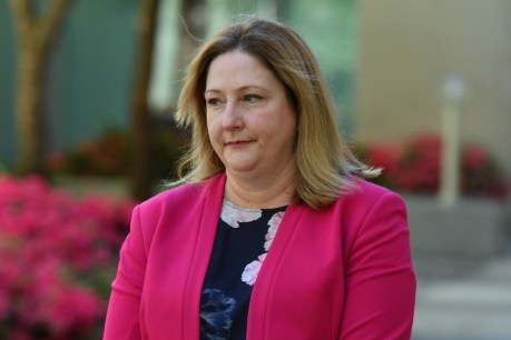Aged-care deaths not being scrutinised: Sharkie